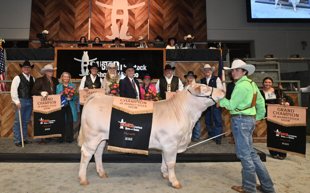 Houston Livestock Show and Rodeo Grand Champion Steer purchased by J. Alan Kent Development